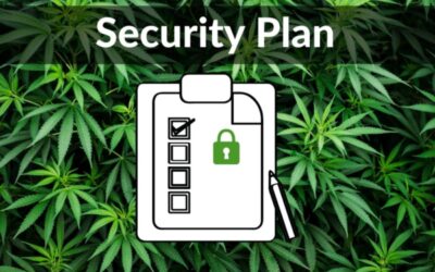 Cannabis Security Plans for License Applications