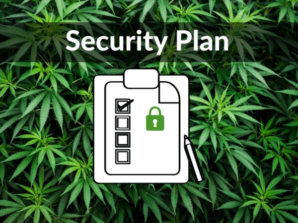 Planes de seguridad de cannabis para solicitudes de osadía: una visión militar